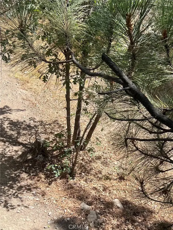 0 Robin, Arrowbear, CA 92382