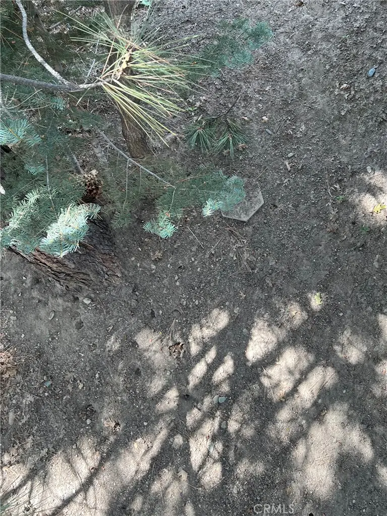 0 Robin, Running Springs, CA 92382 - #2