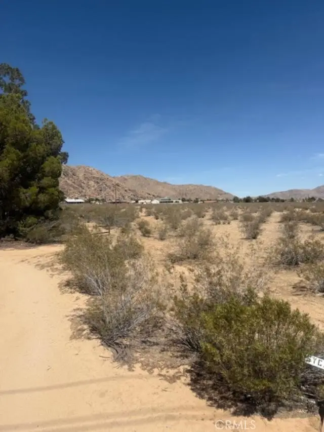 0 Waalew, Lucerne Valley, CA 92356 - #3