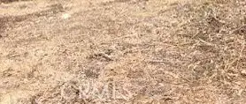 0 Trinity Lot 343, Lake Arrowhead, CA 92352
