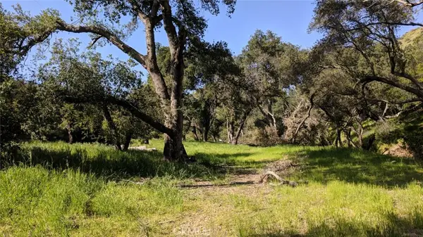 30271 Old Stage Road, Trabuco Canyon, CA 92676