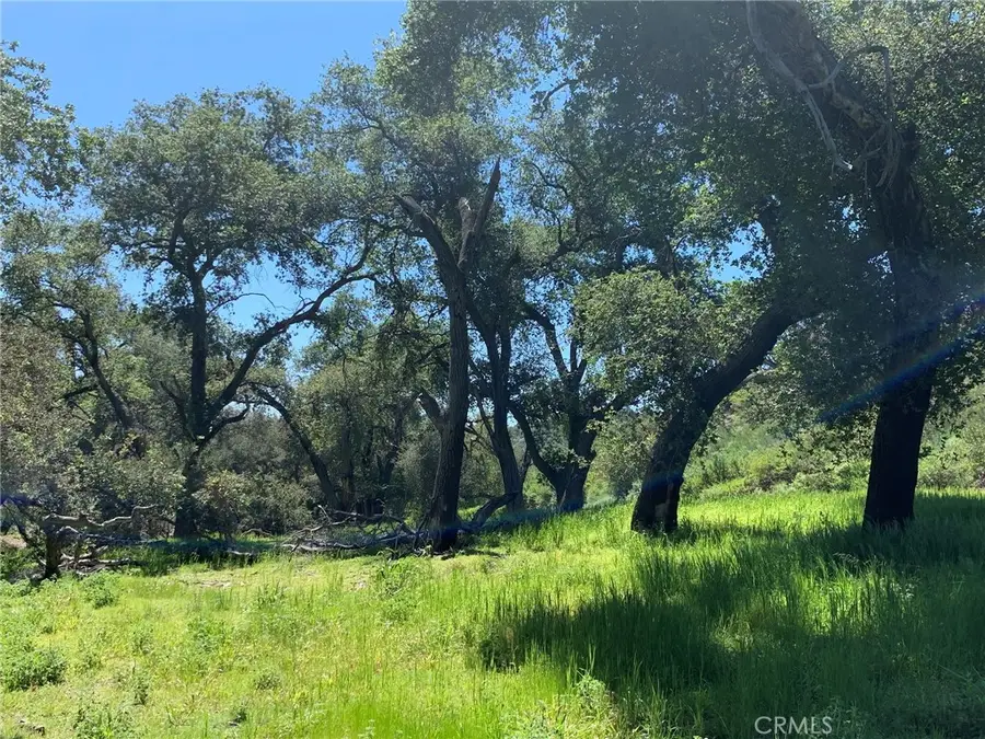30271 Old Stage Road, Trabuco Canyon, CA 92676 - #2