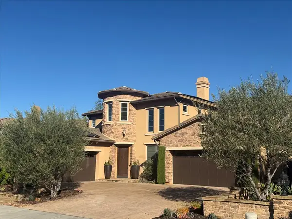 29321 Paseo Palmar, San Juan Capistrano, CA 92675