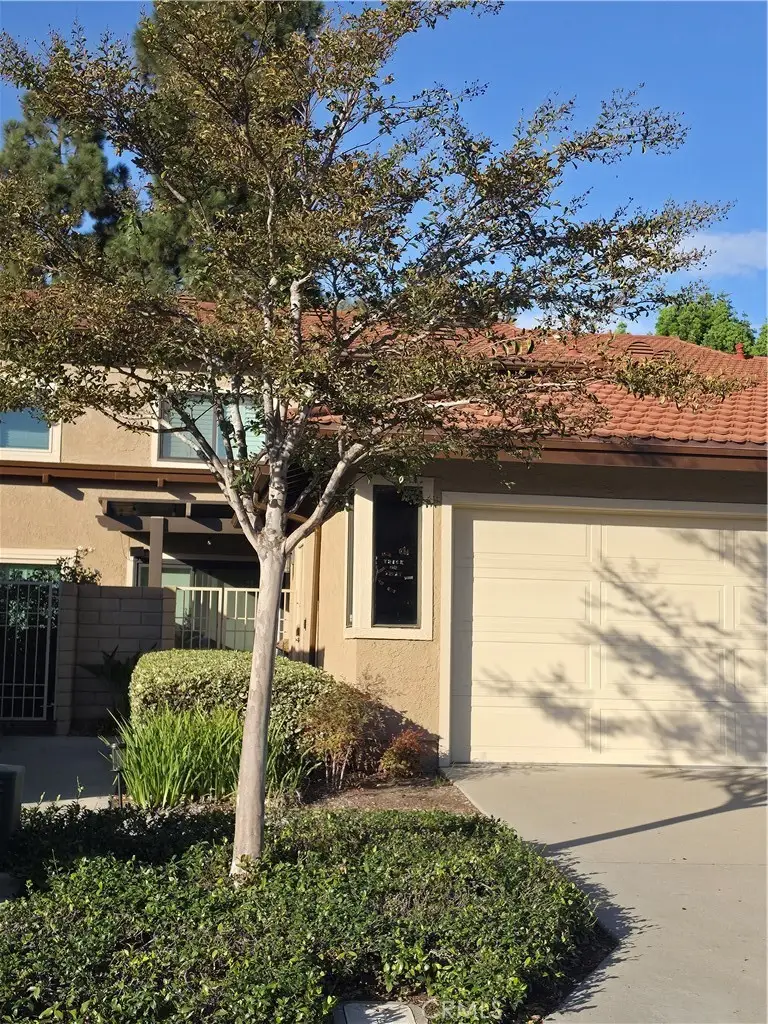 25585 Breezewood, Dana Point, CA 92629 - #3