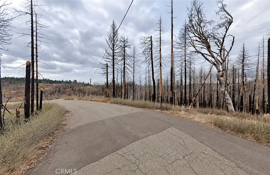 4997 Rollingwood, Grizzly Flats, CA 95684 - #2