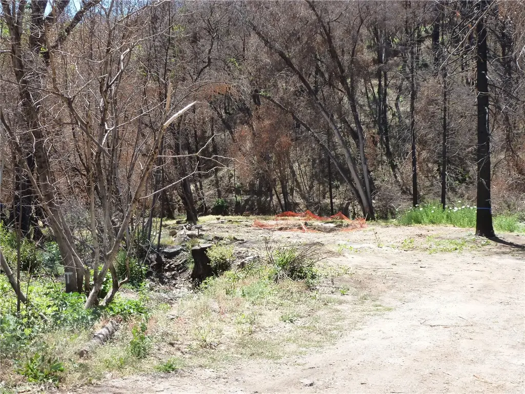 9741 Oroville Quincy Highway, Berry Creek, CA 95916 - #1
