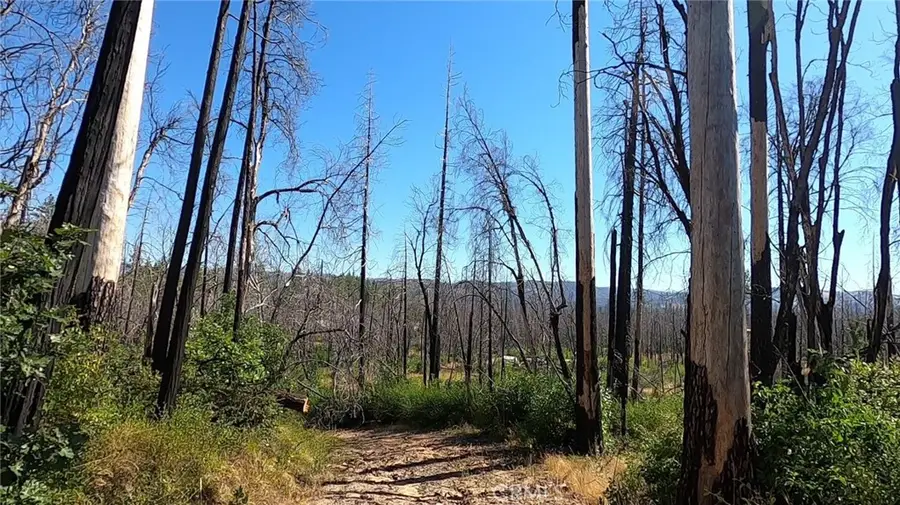 0 Bay Ranch Road, Berry Creek, CA 95916 - Image #2