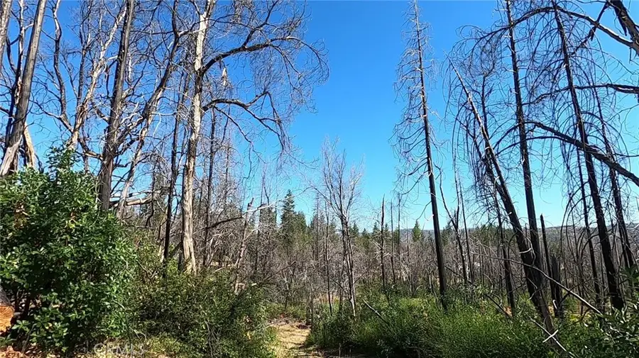 0 Bay Ranch Road, Berry Creek, CA 95916 - Image #3