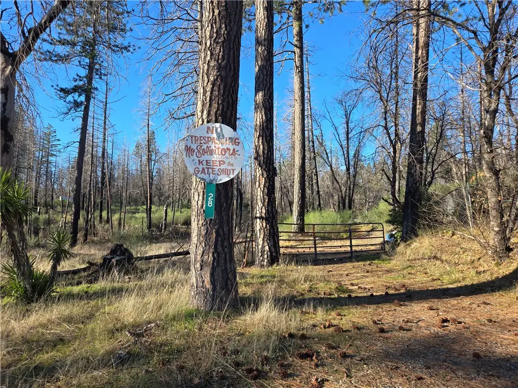 28 Graystone Lane, Berry Creek, CA 95916 - Image #1