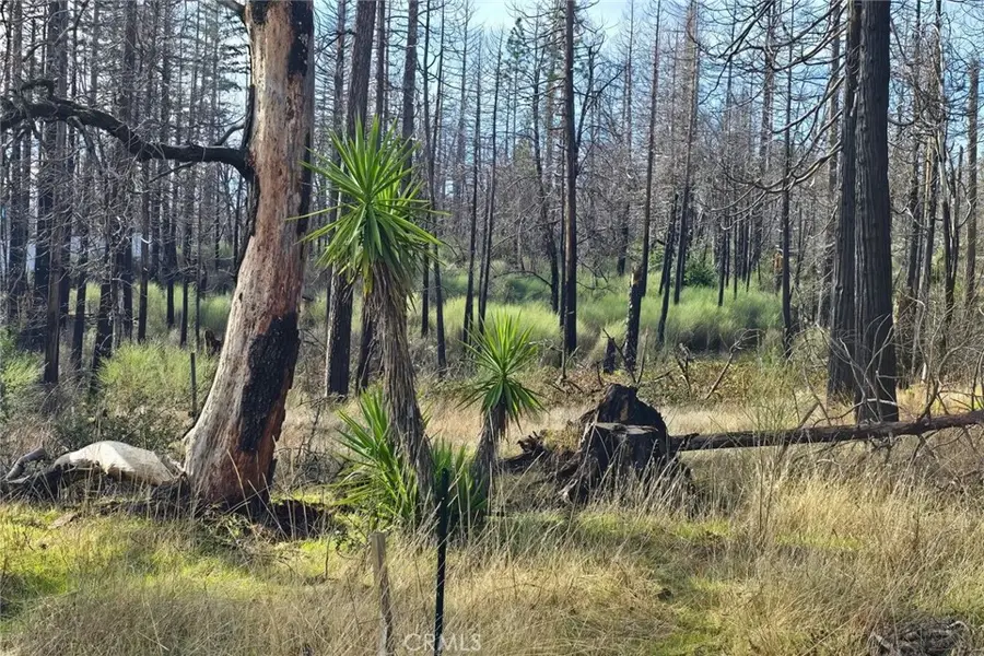 28 Graystone Lane, Berry Creek, CA 95916 - Image #3