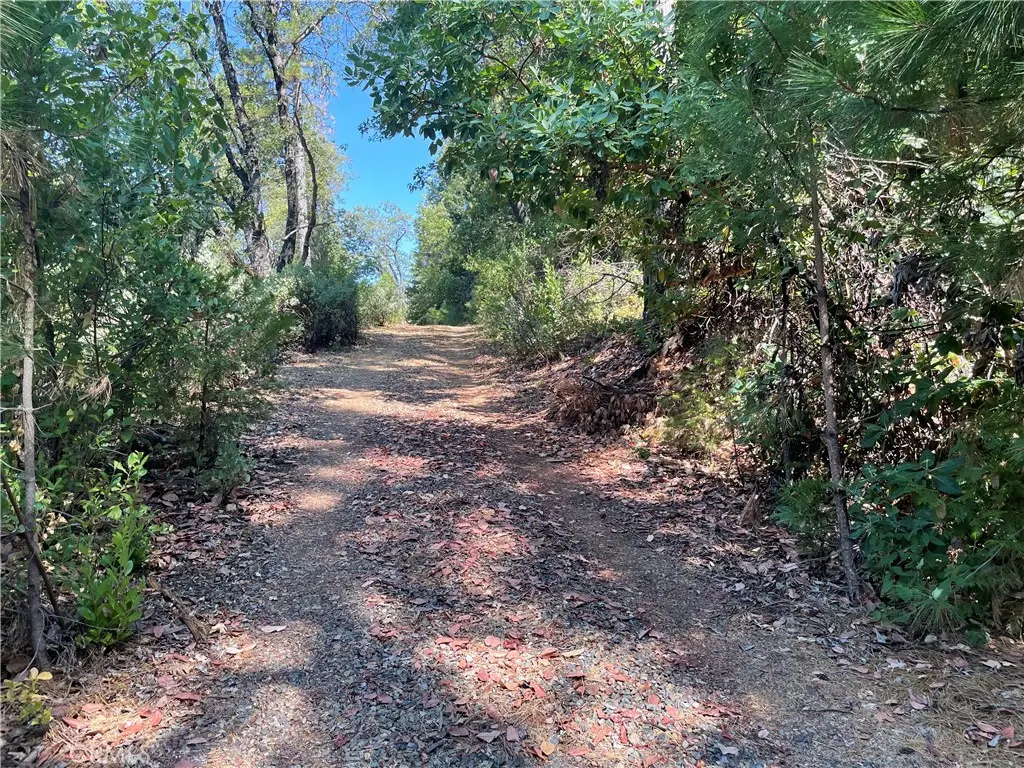 0 Forbestown, Challenge, CA 95925 - Image #1