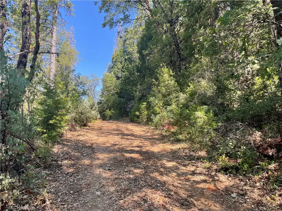 0 Forbestown, Challenge, CA 95925 - Image #2