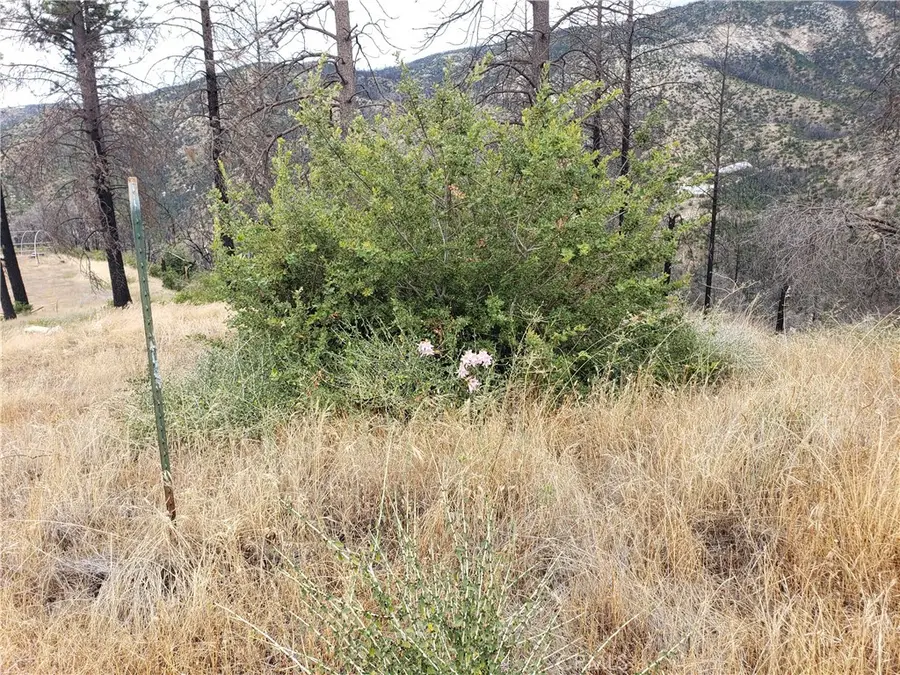 0 Bean Creek, Berry Creek, CA 95916 - Image #2