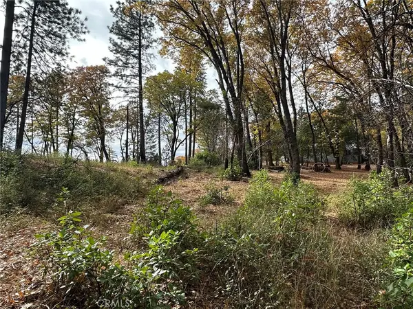 0 Bunker Hill Mine Rd, Yankee Hill, CA 95965