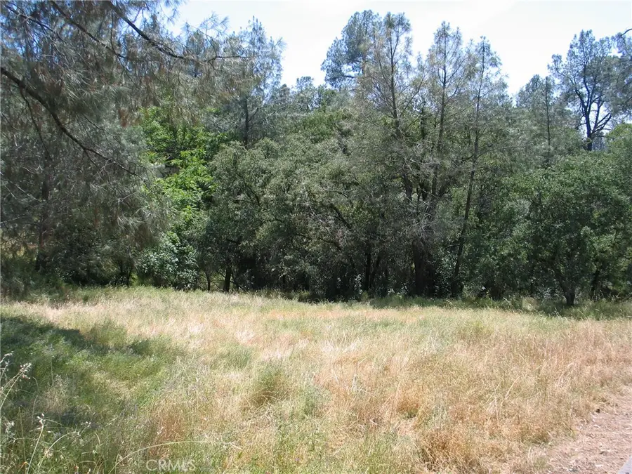 211 Lemon Hill Drive, Oroville, CA 95966 - Image #2