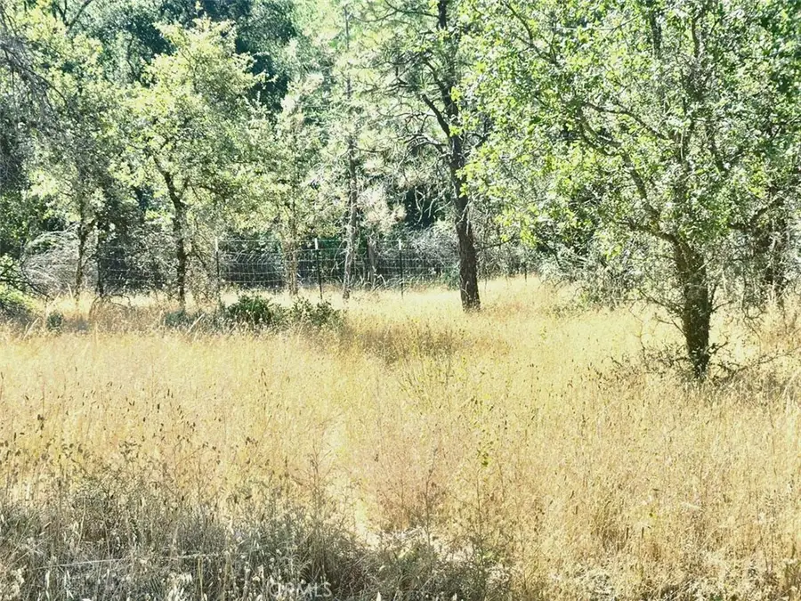 48 Rices Texas Hill Road, Oregon House, CA 95962 - Image #3