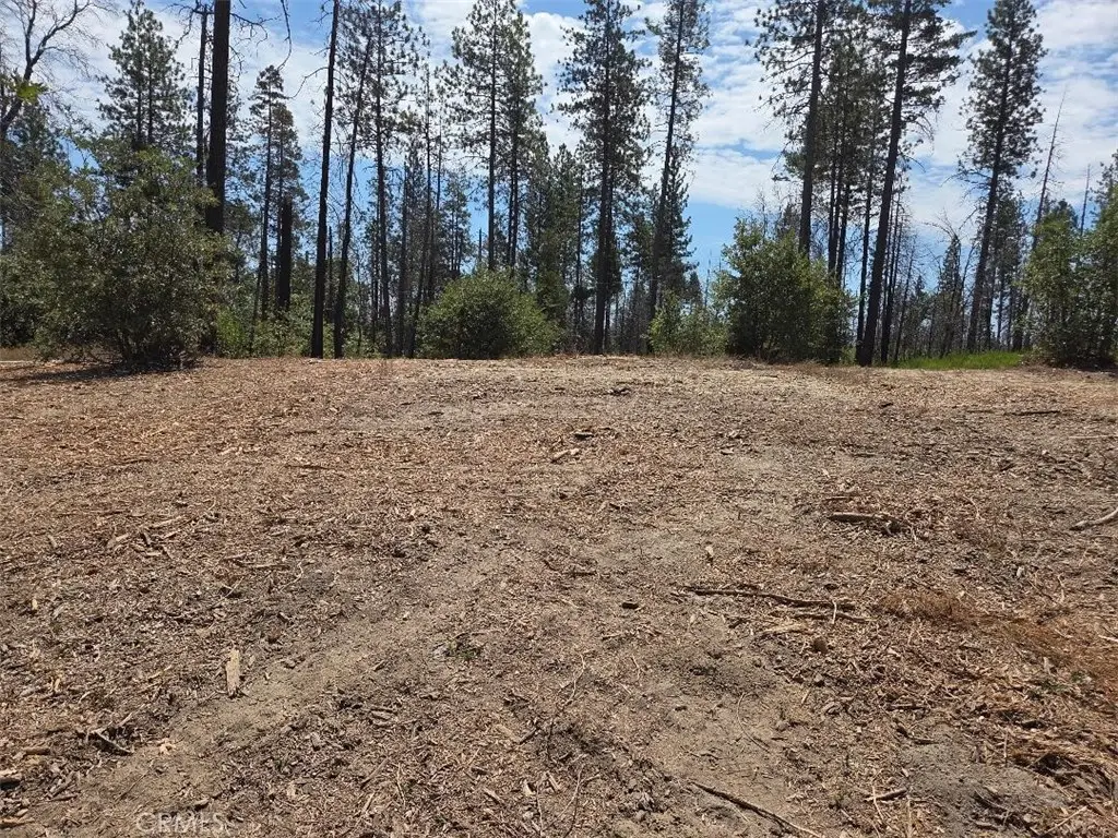 1090 Bald Rock Road, Berry Creek, CA 95916 - Image #1