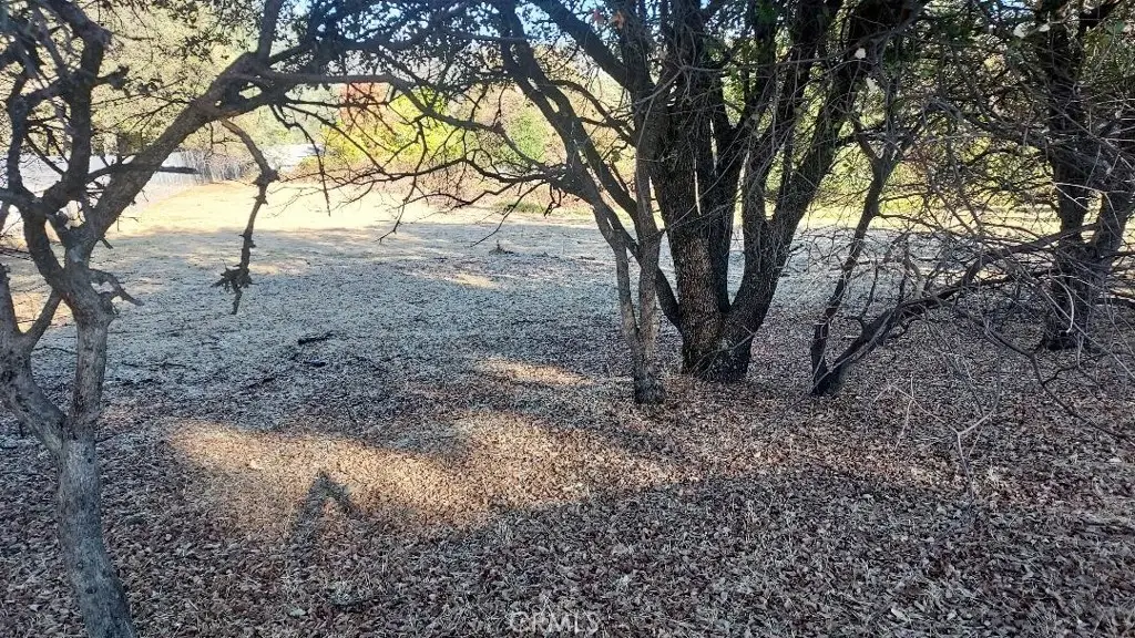 494 Kelly Ridge Road, Oroville, CA 95966 - Image #1