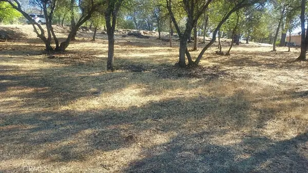 307 Lodgeview Drive, Oroville, CA 95966