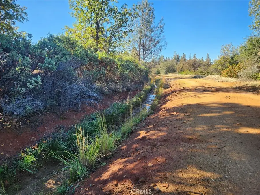 14444 Labadie, Dobbins, CA 95935 - Image #2