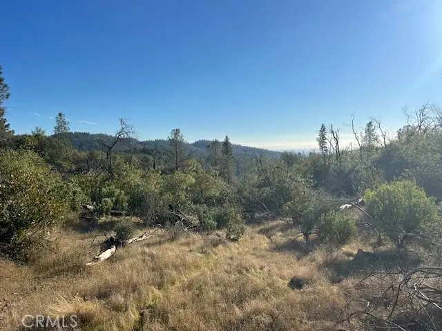 0 Swedes Flat Road, Oroville, CA 95966 - #3