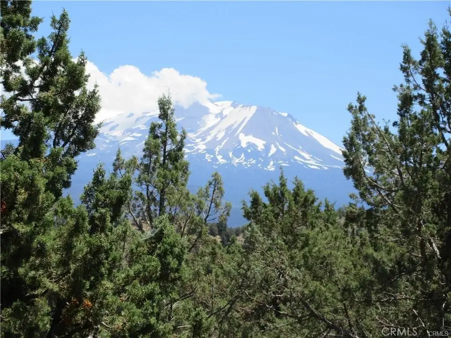 5115 Palomino Rd, Weed, CA 96094 - Image #2