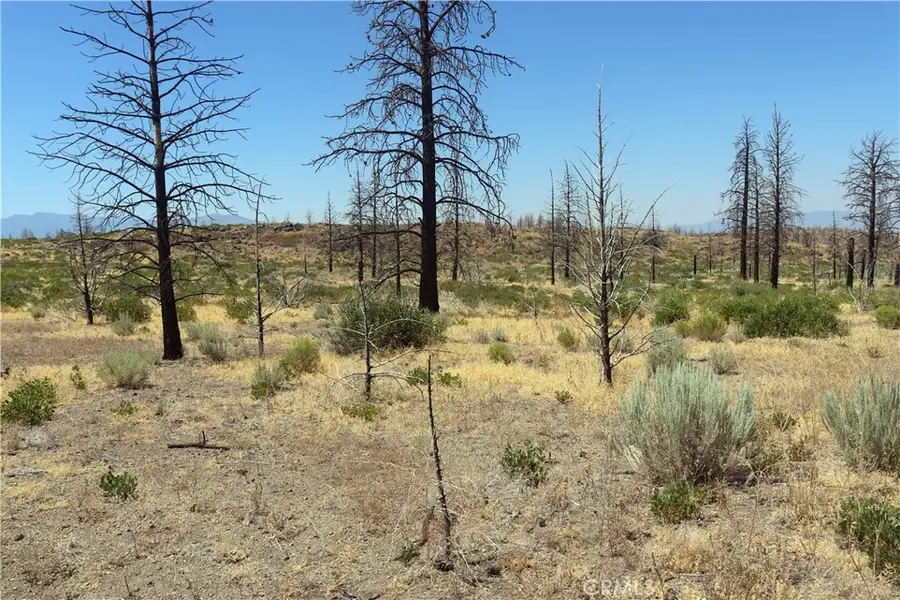 0 Juniper Valley Drive, Weed, CA 96094 - Image #2