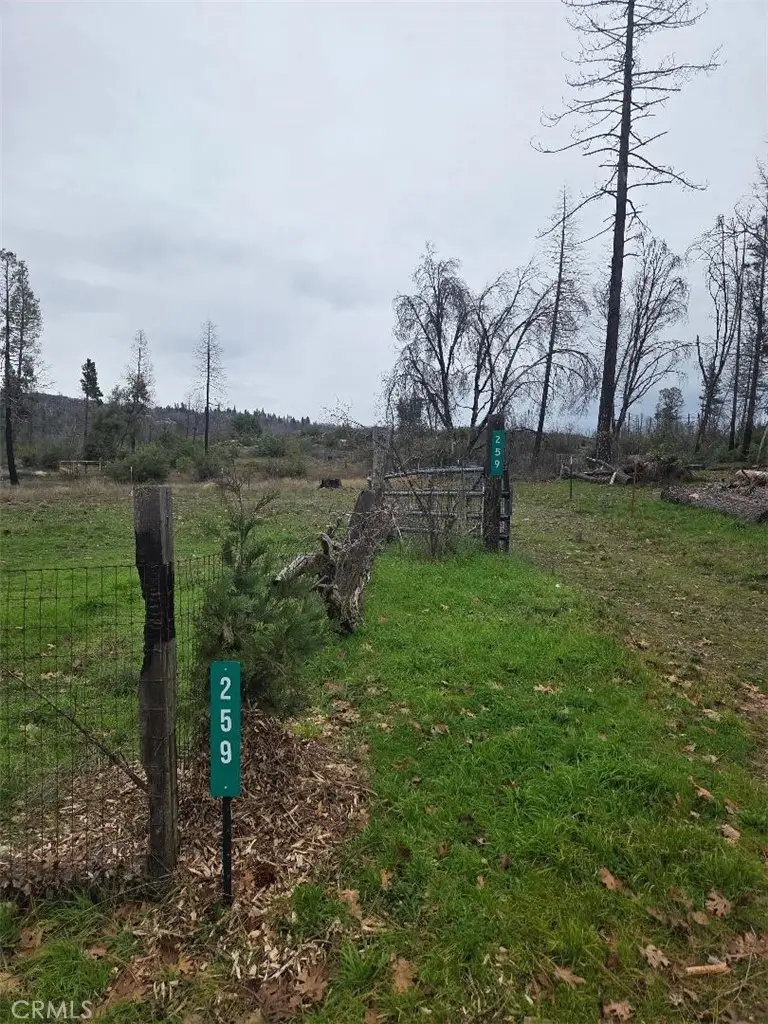 259 Rockerfeller Road, Berry Creek, CA 95916 - #3