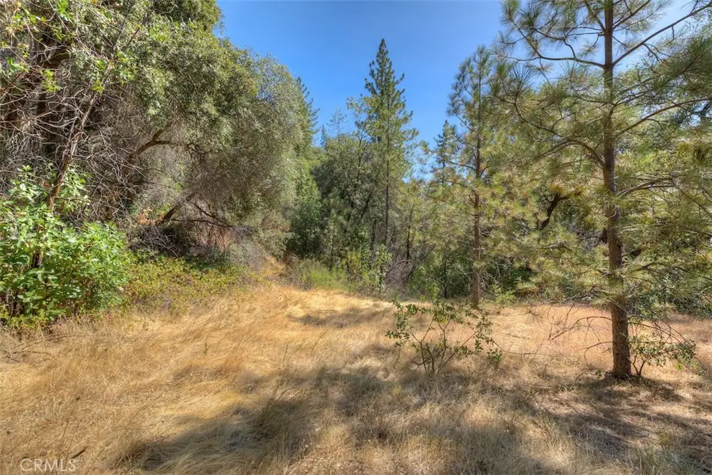8700 Oro Quincy, Berry Creek, CA 95916 - Image #1