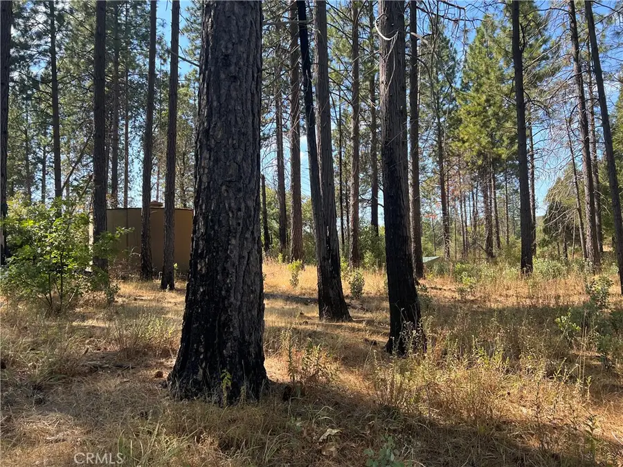 13477 Cirby Creek Road, Oroville, CA 95965 - Image #2