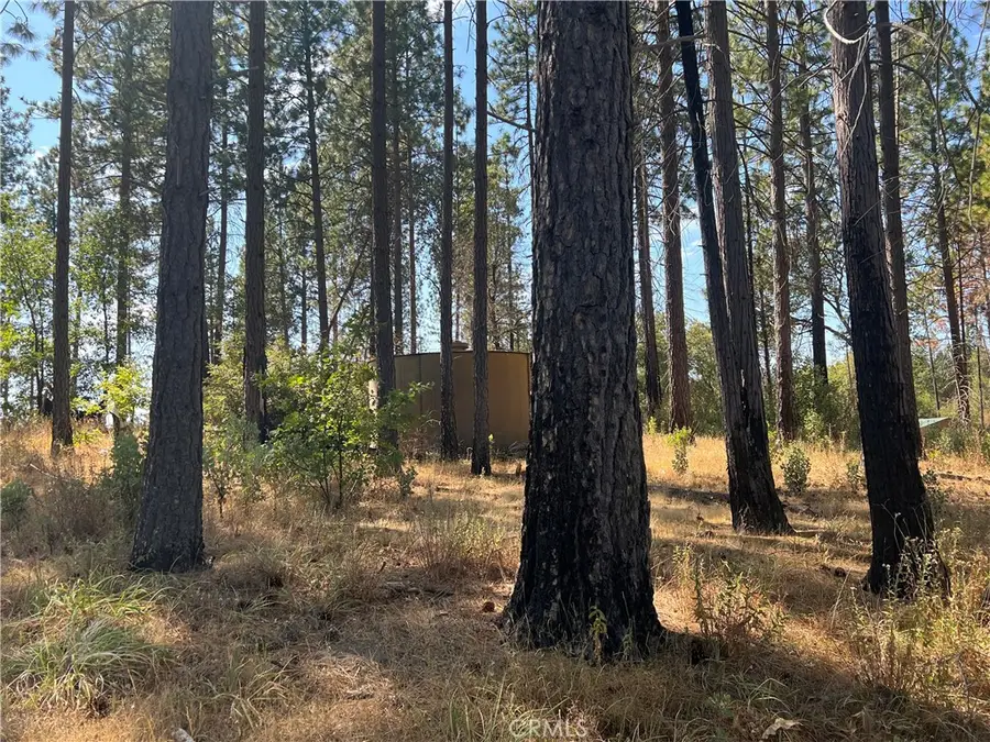 13477 Cirby Creek Road, Oroville, CA 95965 - Image #3