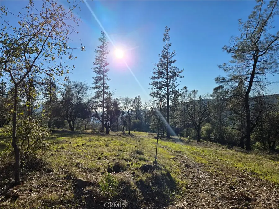 0 Double Eagle Way, Brownsville, CA 95919 - #2