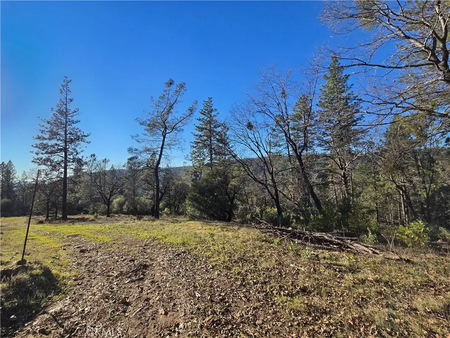 0 Double Eagle Way, Brownsville, CA 95919 - #3