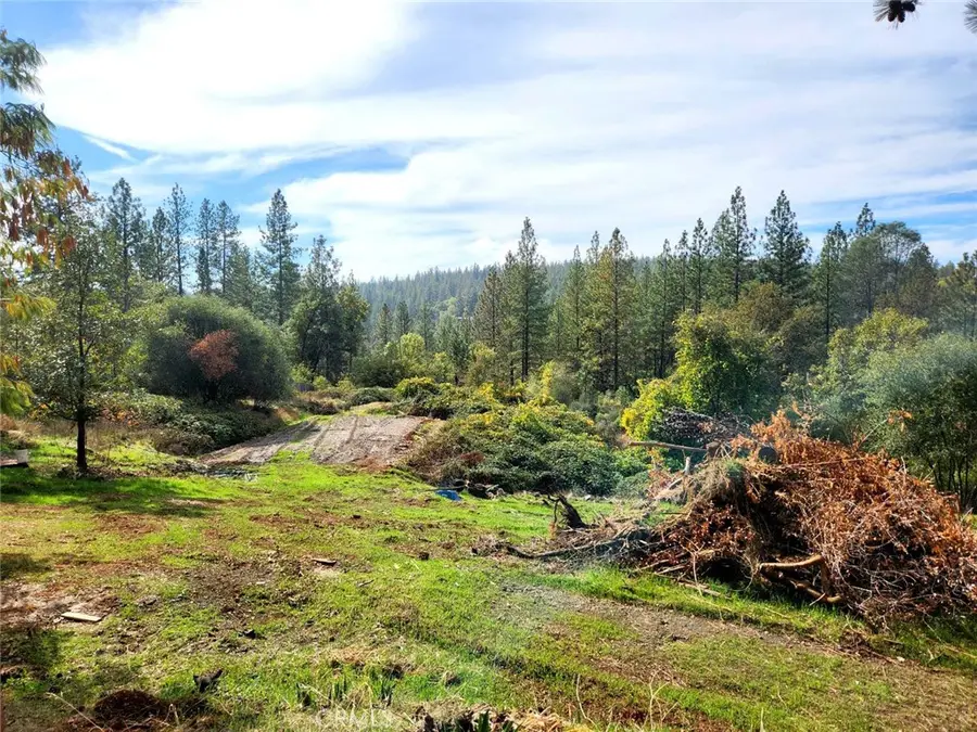 9366 Ranger Trail, Oregon House, CA 95962 - #2