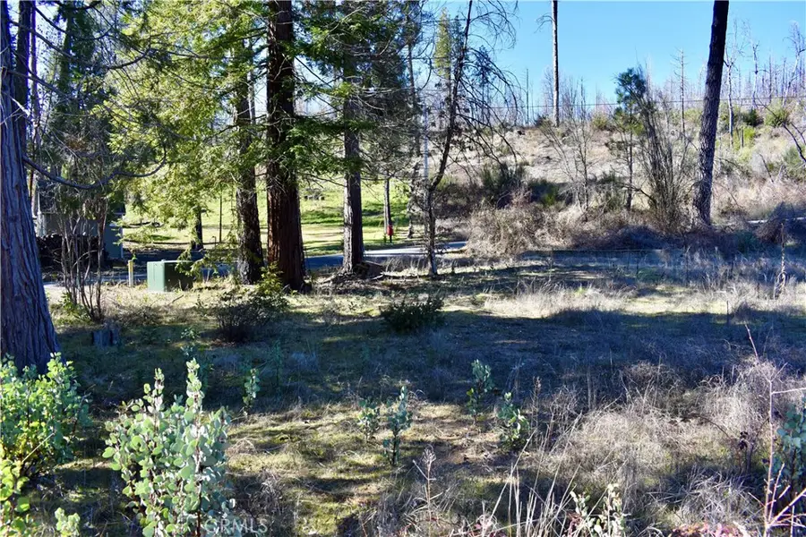 20 Meadow Lane, Berry Creek, CA 95916 - #2