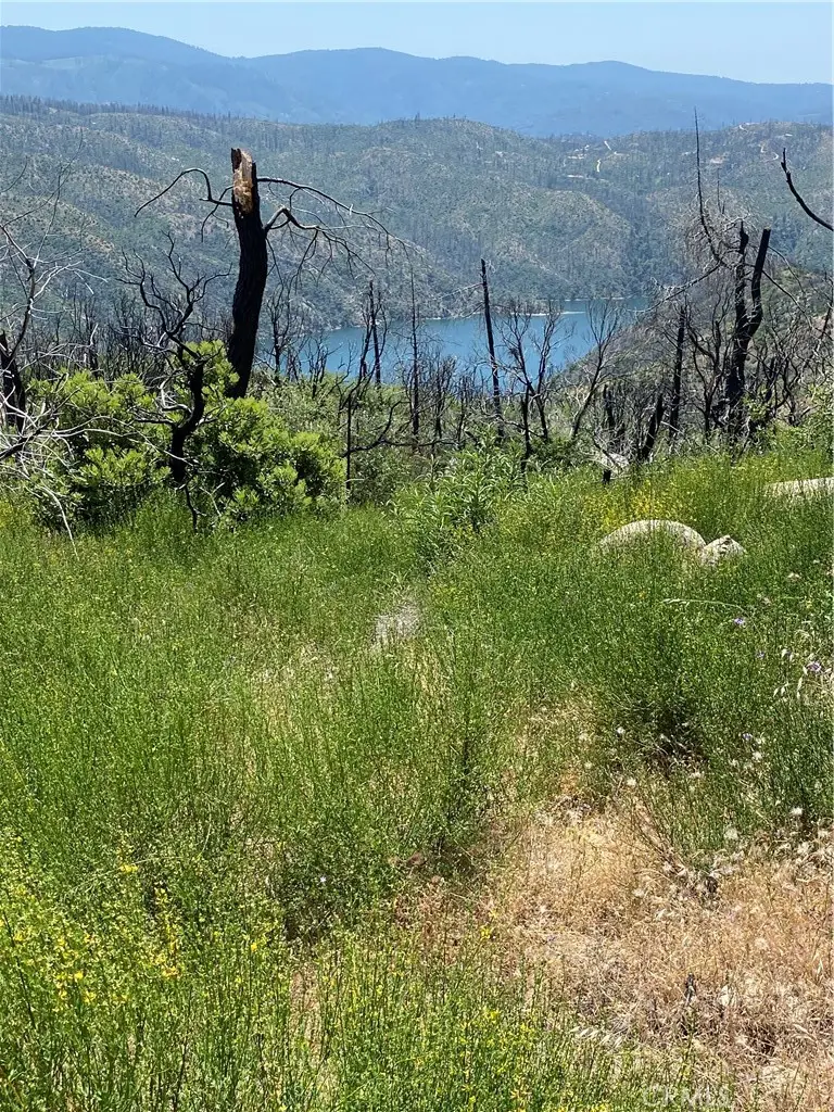 315 Harrison Springs, Berry Creek, CA 95916 - #2