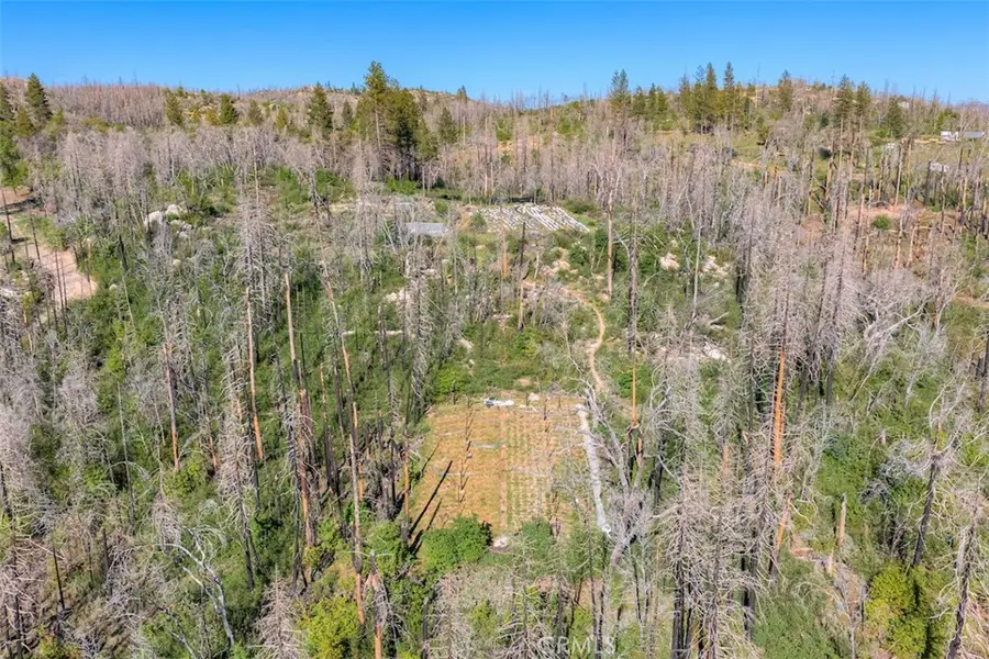 0 Four M Court, Berry Creek, CA 95916 - #2