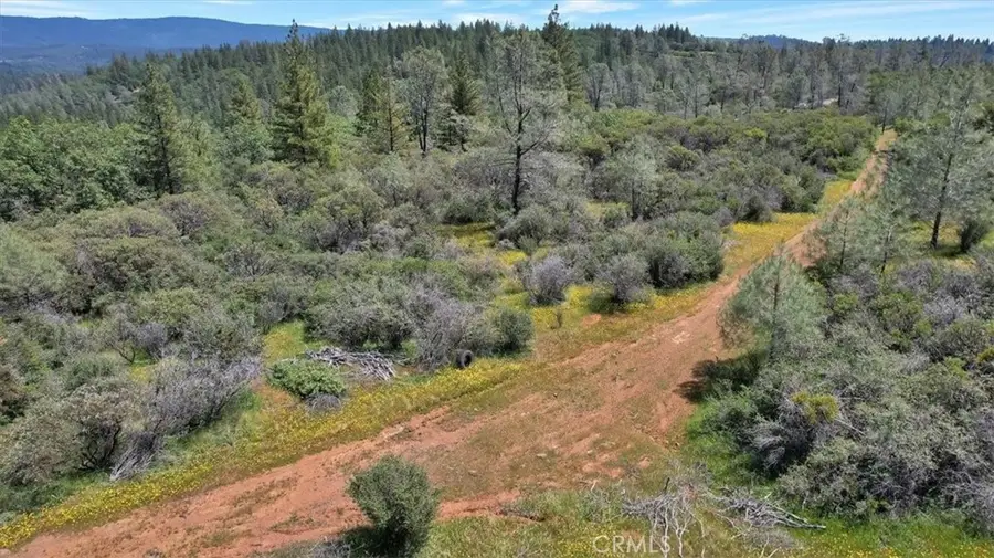 12934 Wild Acres Way, Oregon House, CA 95962 - #3