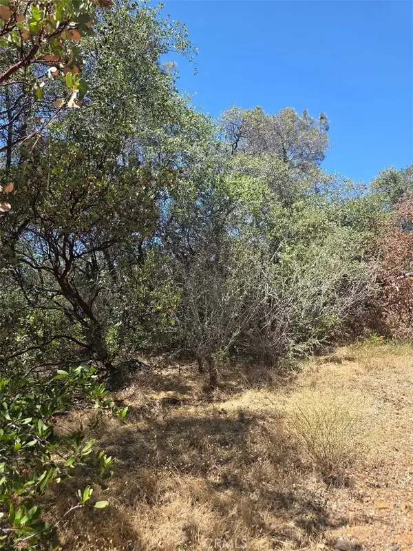 0 Roemelt Lane, Oroville, CA 95966