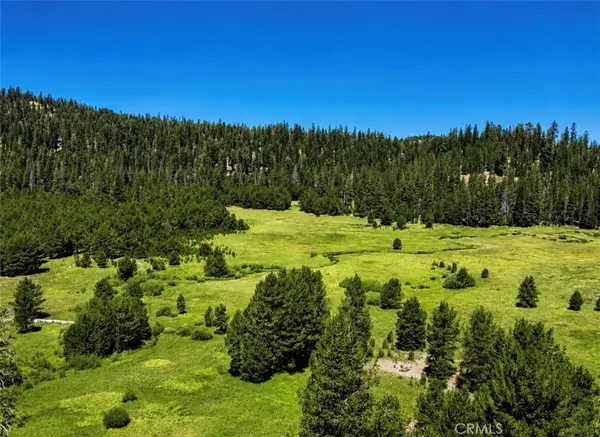 0 Jones Valley, Sierraville, CA 96126