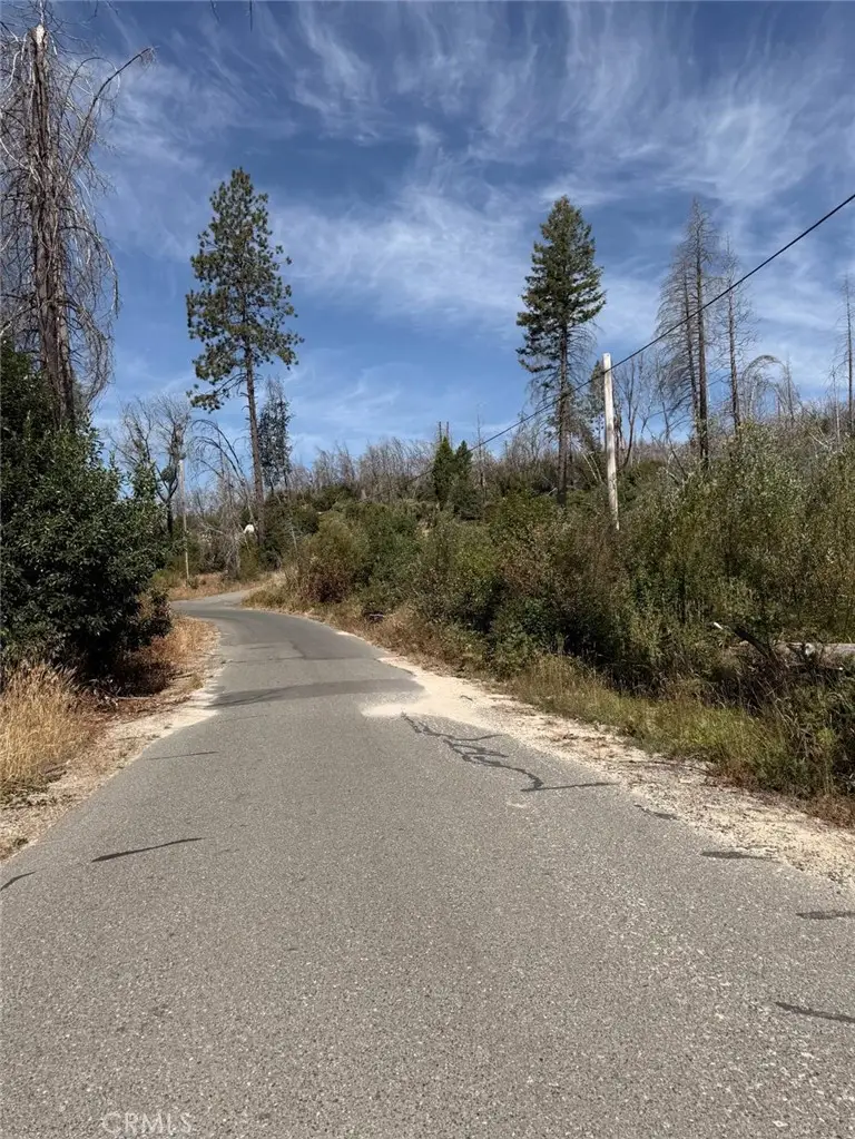 0 Oak Drive, Berry Creek, CA 95916 - #3