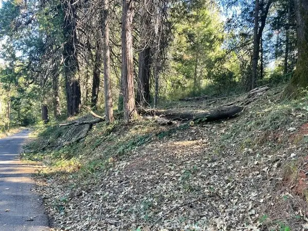 0 Old Forbestown Road, Forbestown, CA 95966