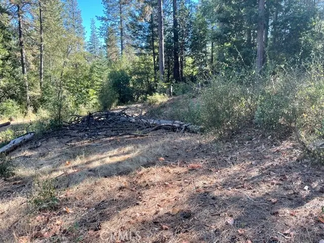 0 Old Forbestown Road, Forbestown, CA 95966 - #3