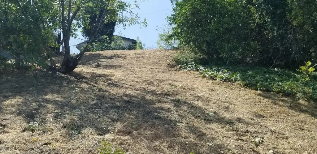 Lavell Drive, Los Angeles, CA 90065 - Image #1