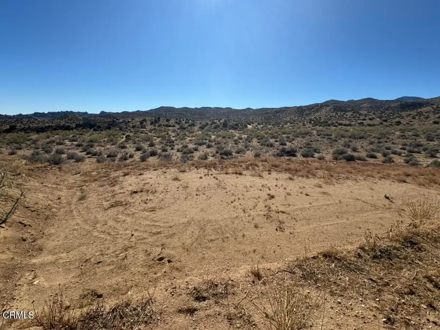 3085 Apache Pass, Pioneertown, CA 92268 - #2