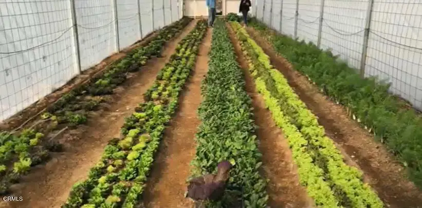 691 Desert Trail Way, Tecopa, CA  - Image #1