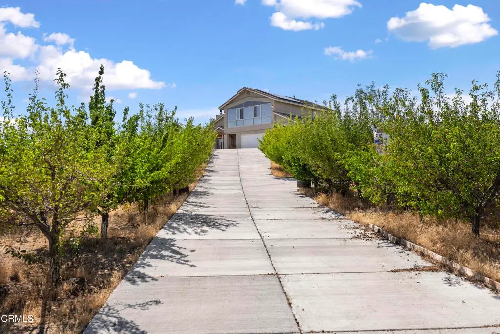 8671 Deer Haven Drive, Pinon Hills, CA 92377 - #1
