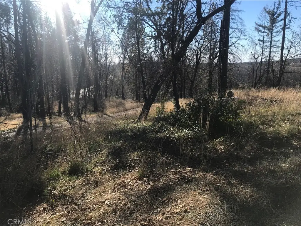 0 Four M Court, Berry Creek, CA 95916 - Image #1