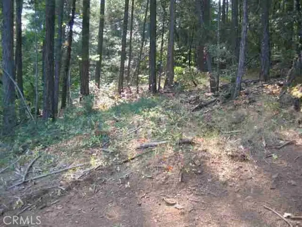 0 He Le Ve Road, Berry Creek, CA 95916