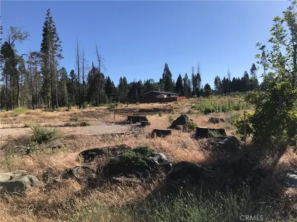 0 Windermere Lane, Concow, CA 95965